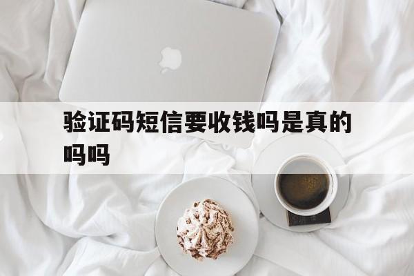 验证码短信要收钱吗是真的吗吗 验证码短信要收钱吗是真的吗吗