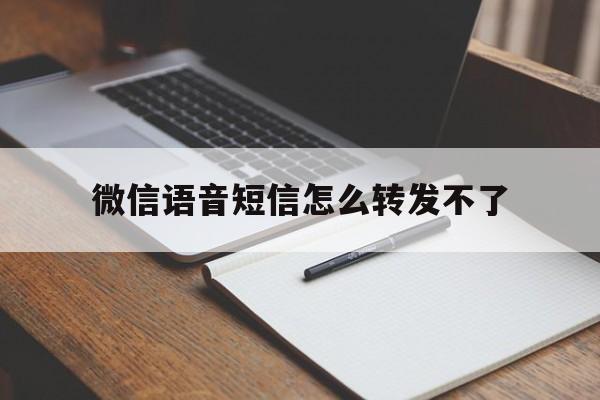 微信语音短信怎么转发不了 微信语音短信怎么转发不了