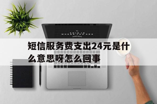 短信服务费支出24元是什么意思呀怎么回事 短信服务费支出24元是什么意思呀怎么回事