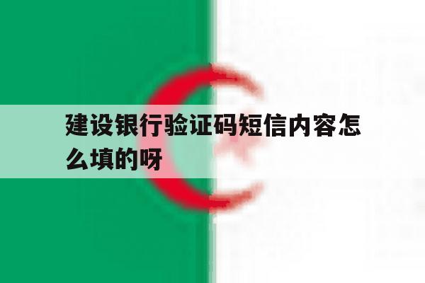 建设银行验证码短信内容怎么填的呀 建设银行验证码短信内容怎么填的呀