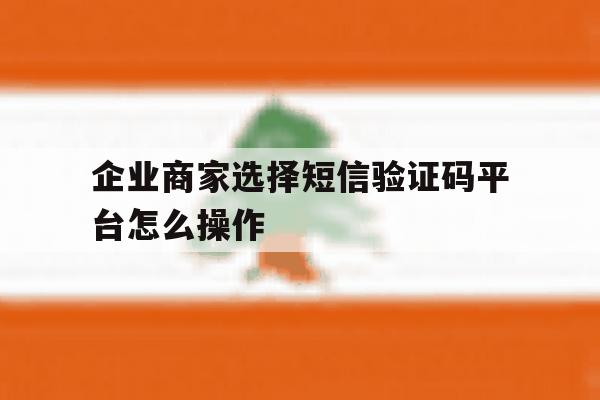 企业商家选择短信验证码平台怎么操作 企业商家选择短信验证码平台怎么操作