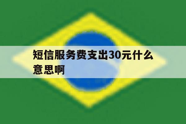短信服务费支出30元什么意思啊 短信服务费支出30元什么意思啊