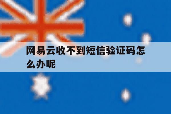 网易云收不到短信验证码怎么办呢 网易云收不到短信验证码怎么办呢