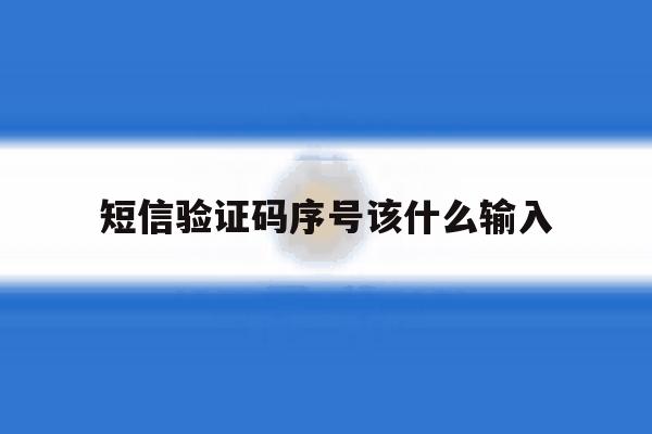 短信验证码序号该什么输入 短信验证码序号该什么输入