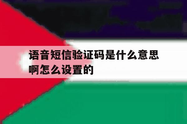 语音短信验证码是什么意思啊怎么设置的 语音短信验证码是什么意思啊怎么设置的