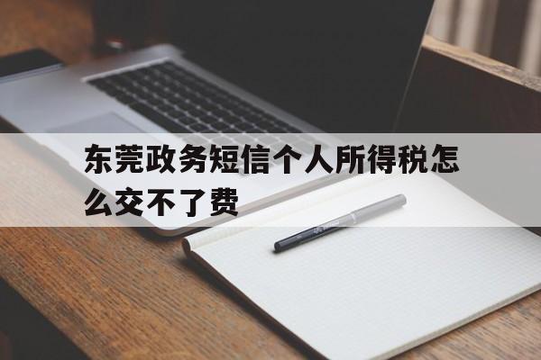 东莞政务短信个人所得税怎么交不了费 东莞政务短信个人所得税怎么交不了费