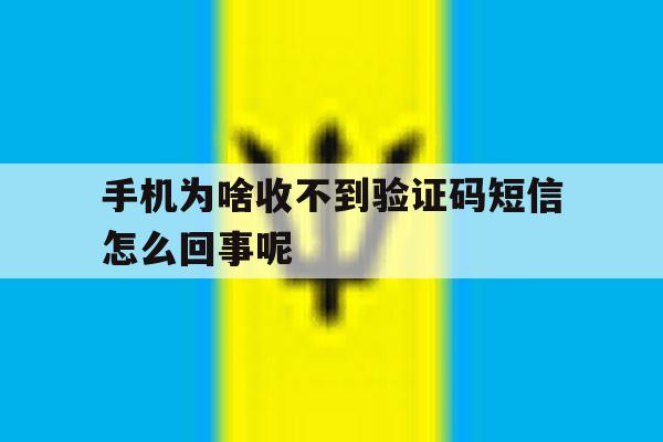 手机为啥收不到验证码短信怎么回事呢 手机为啥收不到验证码短信怎么回事呢