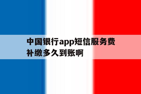 包含中国银行app短信服务费补缴多久到账啊的词条 包含中国银行app短信服务费补缴多久到账啊的词条