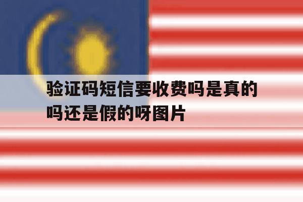 验证码短信要收费吗是真的吗还是假的呀图片的简单介绍 验证码短信要收费吗是真的吗还是假的呀图片的简单介绍
