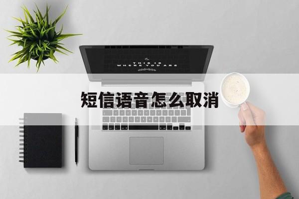 短信语音怎么取消 短信语音怎么取消