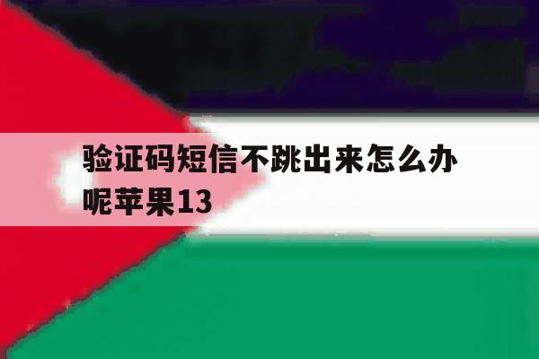验证码短信不跳出来怎么办呢苹果13 验证码短信不跳出来怎么办呢苹果13