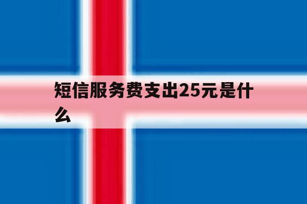 短信服务费支出25元是什么 短信服务费支出25元是什么