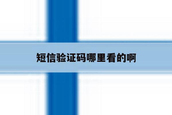 短信验证码哪里看的啊 短信验证码哪里看的啊