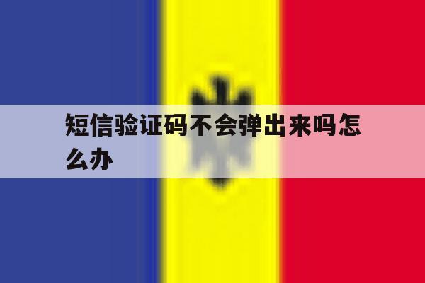 短信验证码不会弹出来吗怎么办 短信验证码不会弹出来吗怎么办