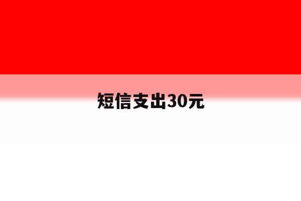 短信支出30元 短信支出30元