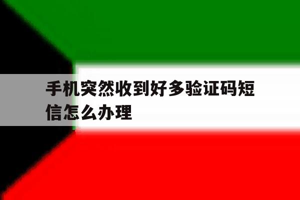 手机突然收到好多验证码短信怎么办理 手机突然收到好多验证码短信怎么办理