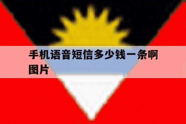 手机语音短信多少钱一条啊图片 手机语音短信多少钱一条啊图片