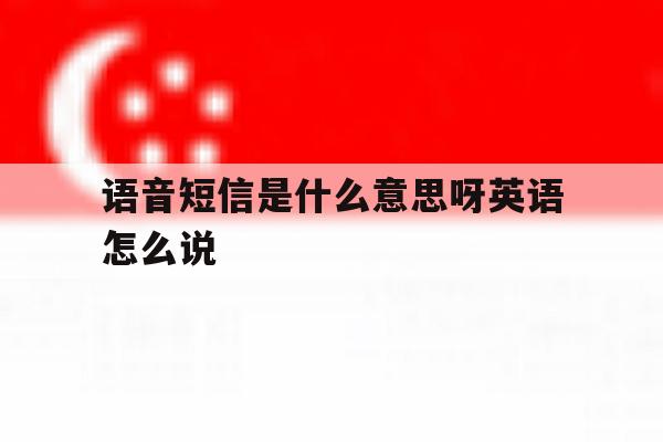 语音短信是什么意思呀英语怎么说 语音短信是什么意思呀英语怎么说