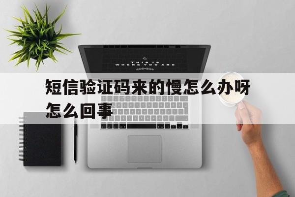短信验证码来的慢怎么办呀怎么回事 短信验证码来的慢怎么办呀怎么回事