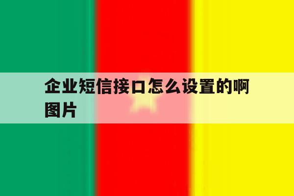 企业短信接口怎么设置的啊图片 企业短信接口怎么设置的啊图片