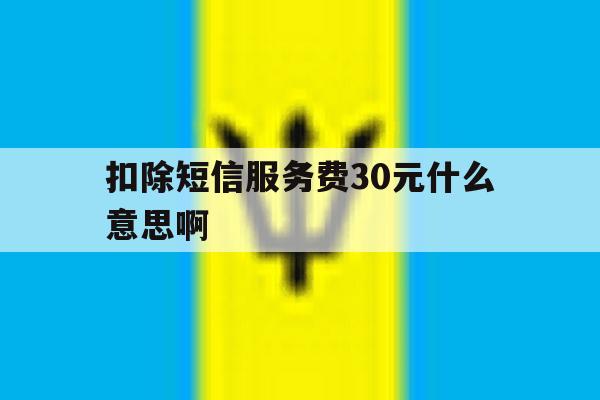 扣除短信服务费30元什么意思啊 扣除短信服务费30元什么意思啊