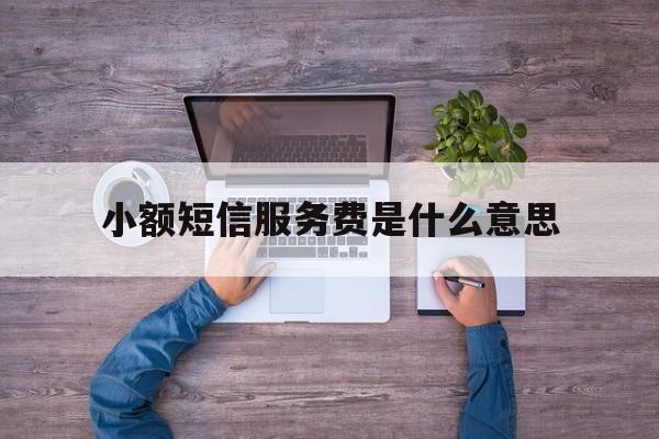 小额短信服务费是什么意思 小额短信服务费是什么意思