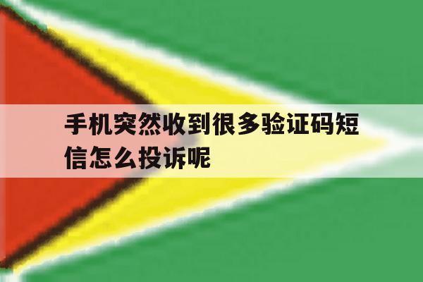手机突然收到很多验证码短信怎么投诉呢的简单介绍 手机突然收到很多验证码短信怎么投诉呢的简单介绍