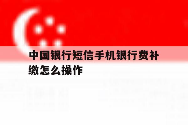 中国银行短信手机银行费补缴怎么操作 中国银行短信手机银行费补缴怎么操作