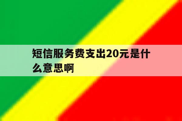 短信服务费支出20元是什么意思啊 短信服务费支出20元是什么意思啊