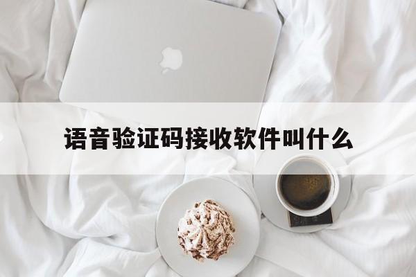 语音验证码接收软件叫什么 语音验证码接收软件叫什么