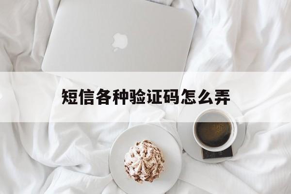 短信各种验证码怎么弄 短信各种验证码怎么弄