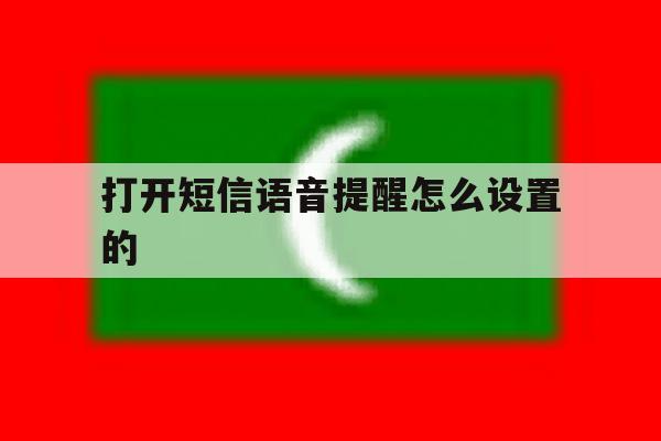 打开短信语音提醒怎么设置的 打开短信语音提醒怎么设置的