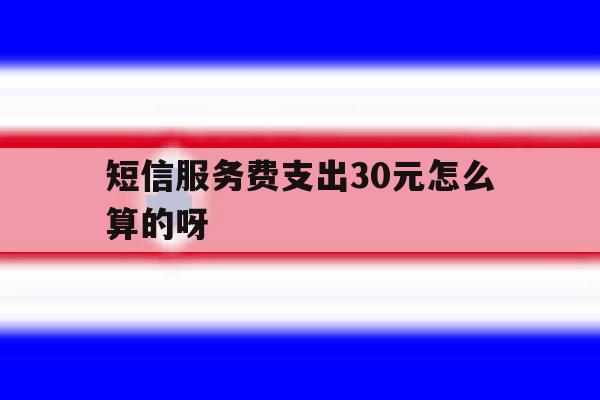 短信服务费支出30元怎么算的呀的简单介绍 短信服务费支出30元怎么算的呀的简单介绍