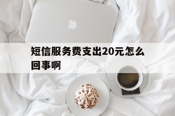 短信服务费支出20元怎么回事啊 短信服务费支出20元怎么回事啊