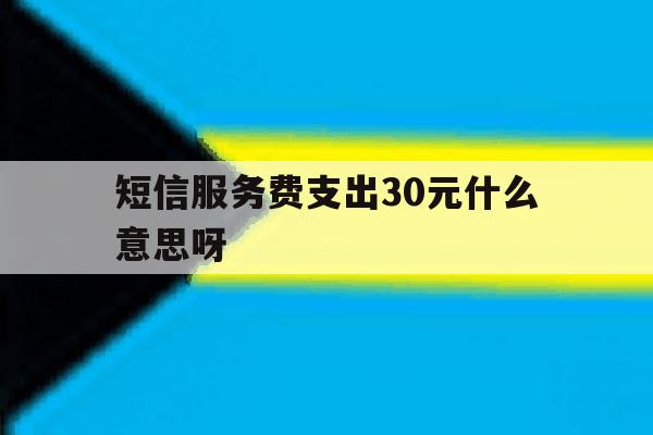 短信服务费支出30元什么意思呀 短信服务费支出30元什么意思呀