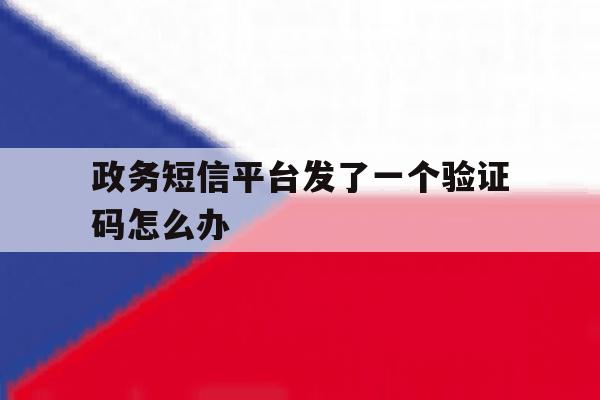 政务短信平台发了一个验证码怎么办 政务短信平台发了一个验证码怎么办