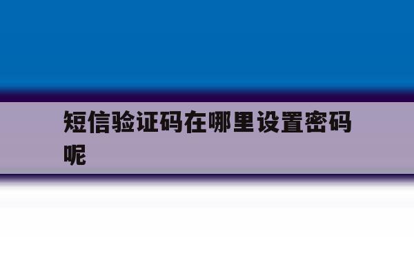 短信验证码在哪里设置密码呢 短信验证码在哪里设置密码呢