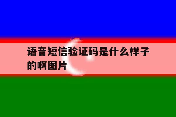 语音短信验证码是什么样子的啊图片的简单介绍 语音短信验证码是什么样子的啊图片的简单介绍