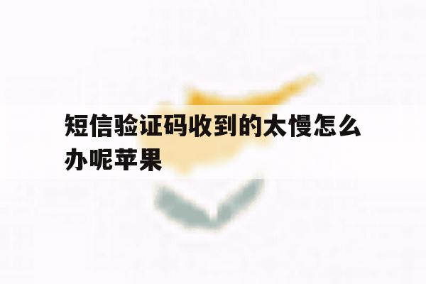 短信验证码收到的太慢怎么办呢苹果 短信验证码收到的太慢怎么办呢苹果