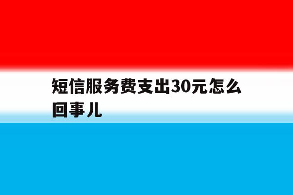 短信服务费支出30元怎么回事儿 短信服务费支出30元怎么回事儿