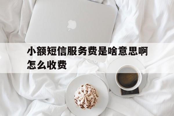 小额短信服务费是啥意思啊怎么收费 小额短信服务费是啥意思啊怎么收费