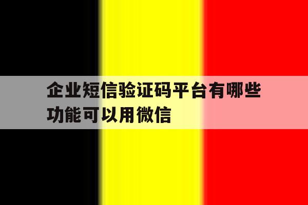 企业短信验证码平台有哪些功能可以用微信 企业短信验证码平台有哪些功能可以用微信