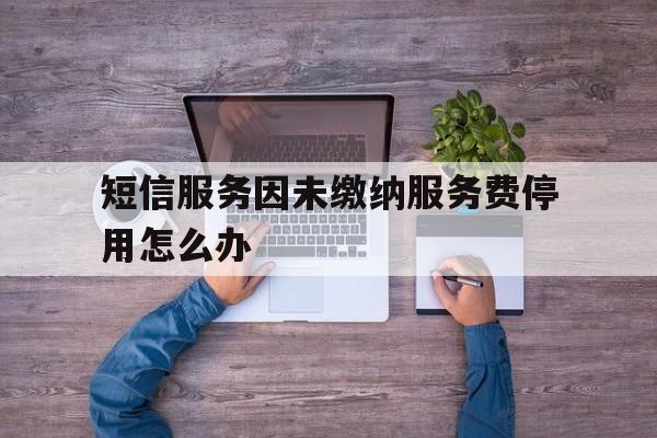 关于短信服务因未缴纳服务费停用怎么办的信息 关于短信服务因未缴纳服务费停用怎么办的信息