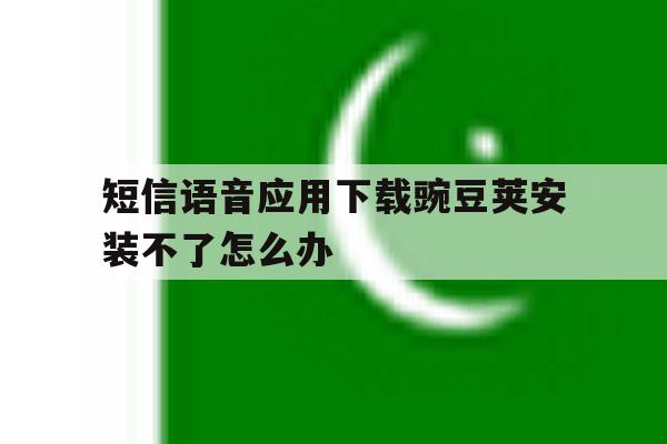 短信语音应用下载豌豆荚安装不了怎么办 短信语音应用下载豌豆荚安装不了怎么办