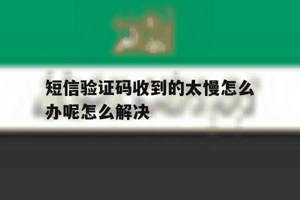 关于短信验证码收到的太慢怎么办呢怎么解决的信息 关于短信验证码收到的太慢怎么办呢怎么解决的信息